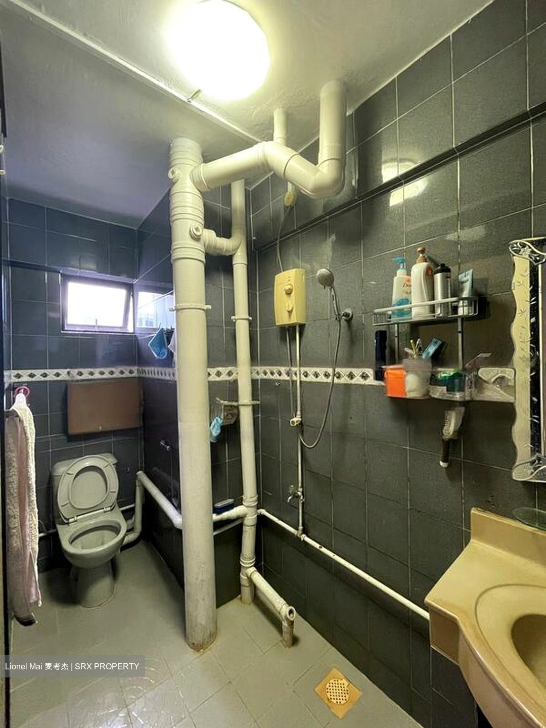 Blk 146 Tampines Avenue 5 (Tampines), HDB Executive #458675141